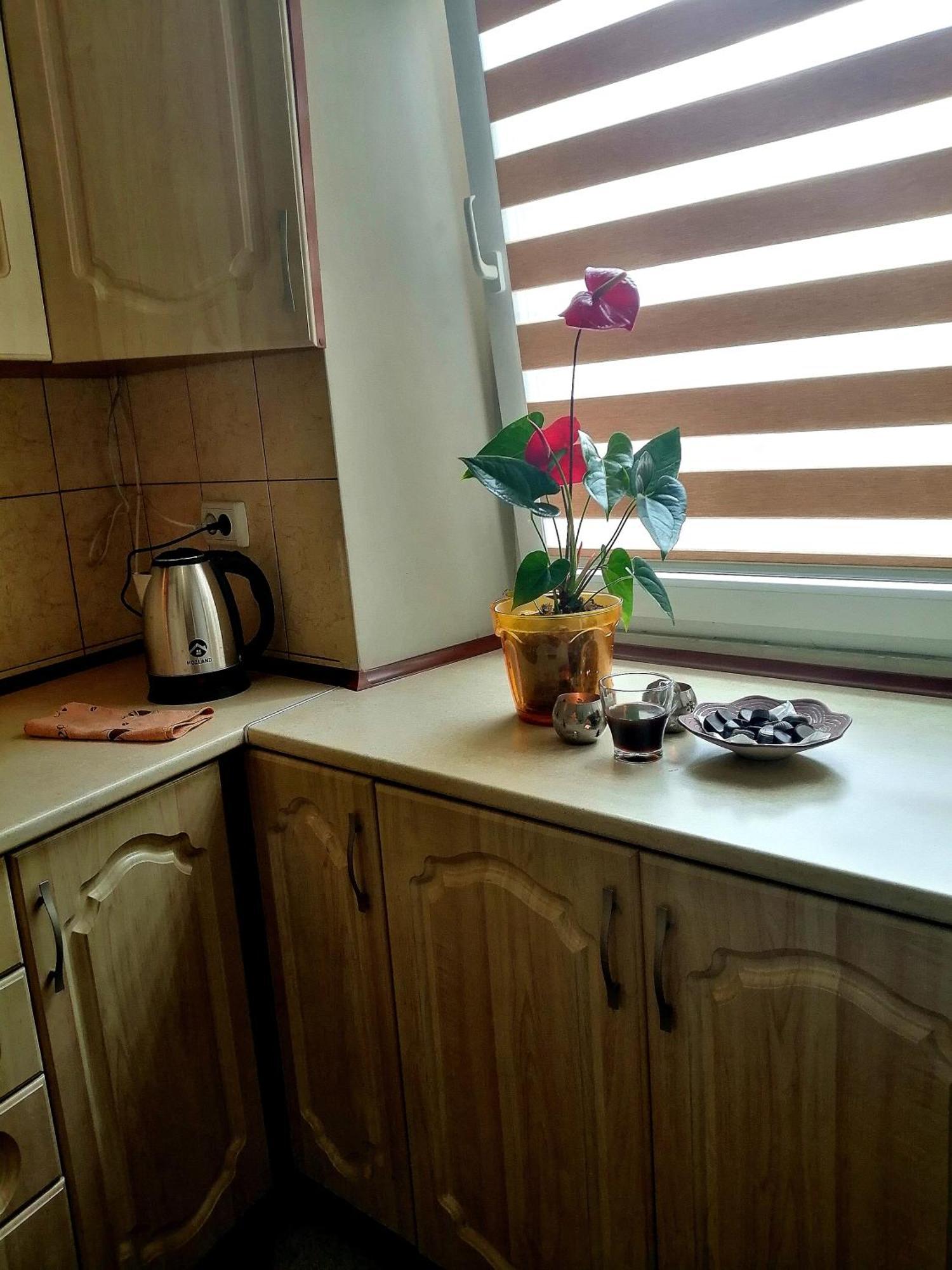 Апартаменти Flat On Sheptytskykh Львів Екстер'єр фото